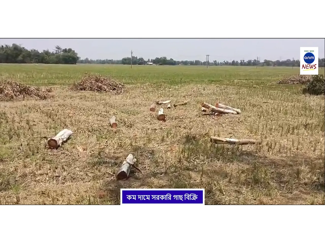 WhatsApp Image 2025-05-06 at 3.14.56 PM