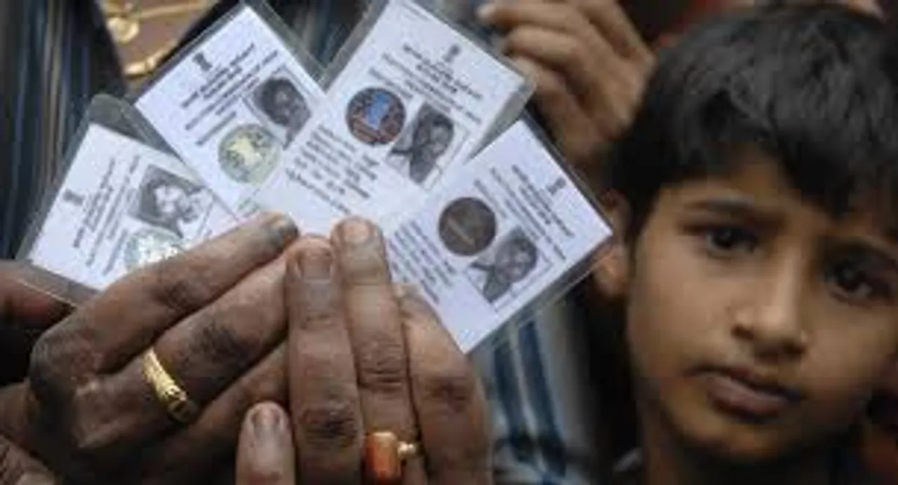 fake voter cards