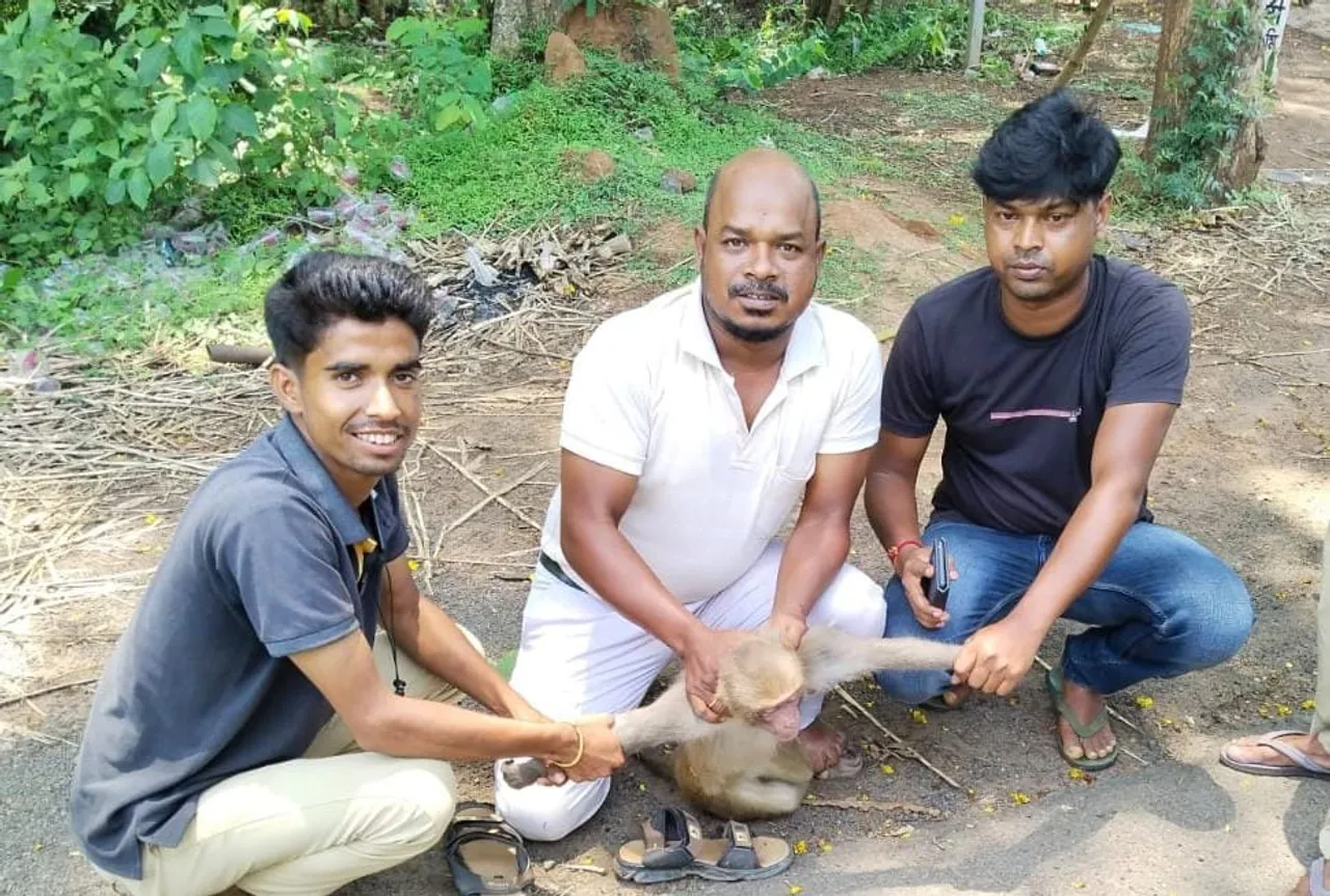 WhatsApp Image 2025-06-02 at 5.36.42 PM