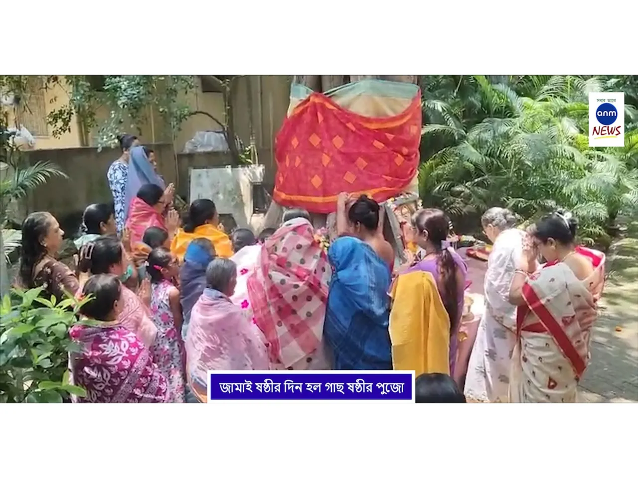 WhatsApp Image 2025-06-02 at 4.40.25 PM