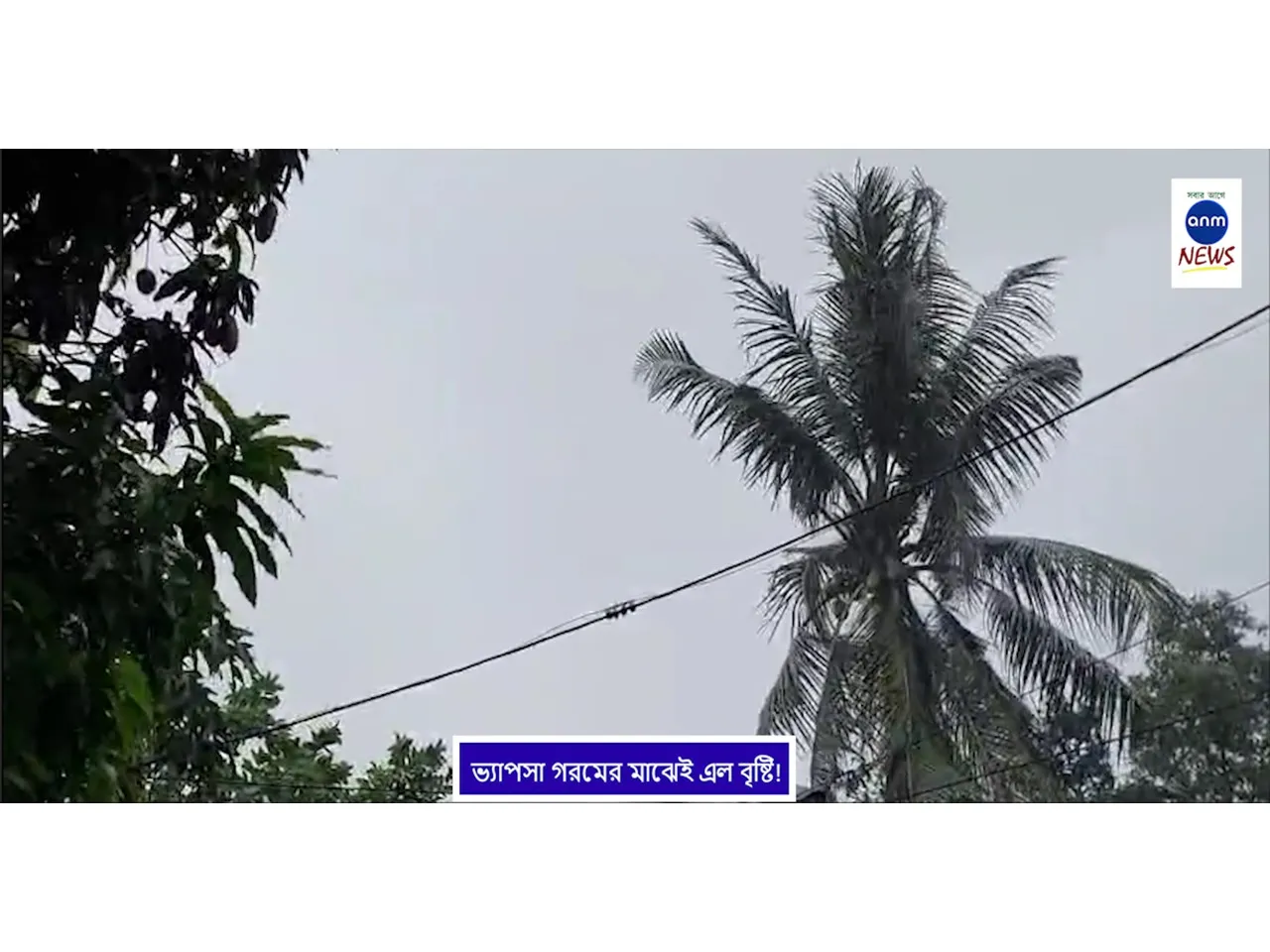 WhatsApp Image 2025-06-03 at 5.45.21 PM