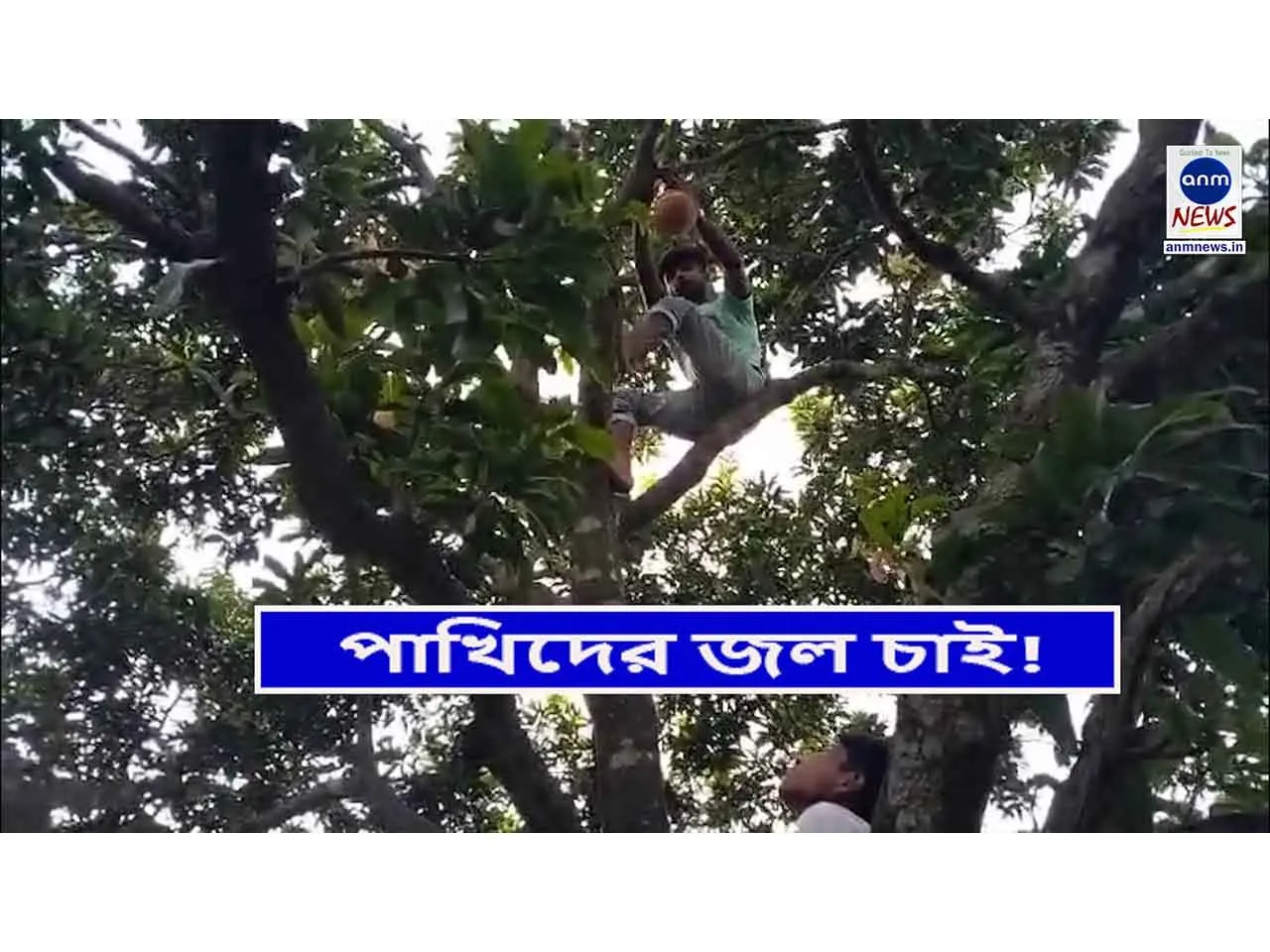 WhatsApp Image 2025-06-14 at 19.41.17