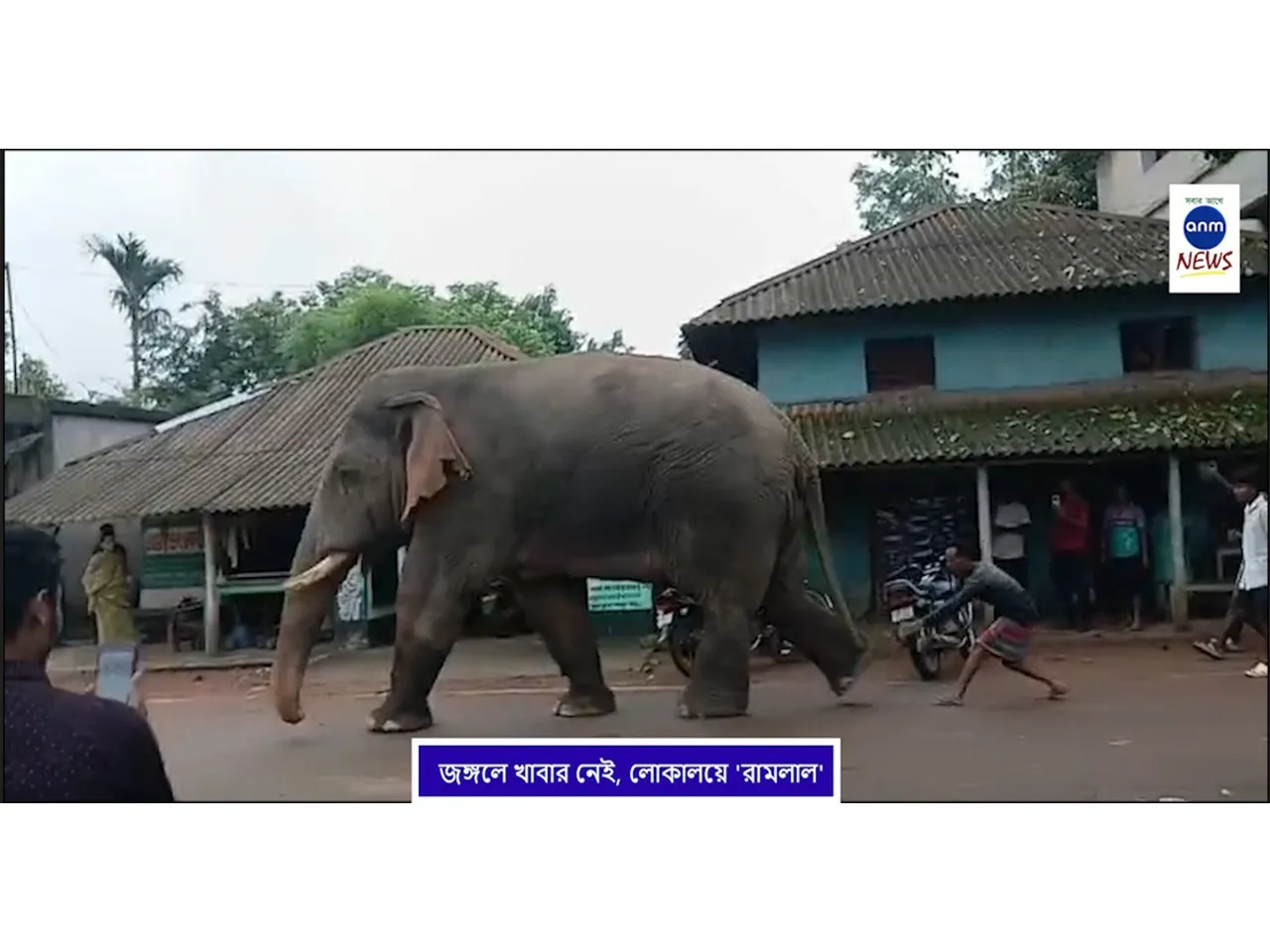 WhatsApp Image 2025-07-08 at 5.52.26 PM