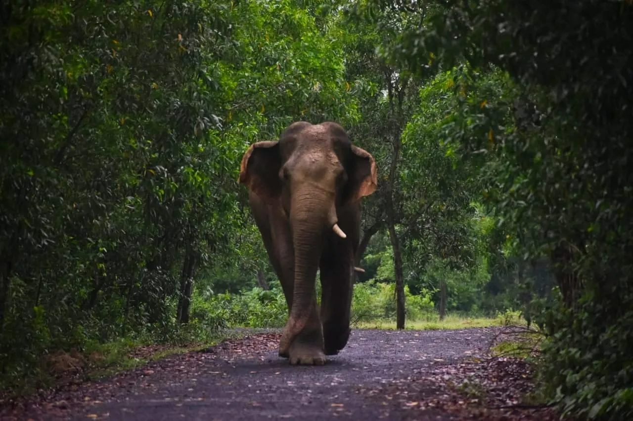 WhatsApp Image 2025-07-24 at 18.35.54