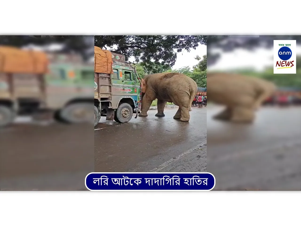 WhatsApp Image 2025-07-27 at 13.29.21