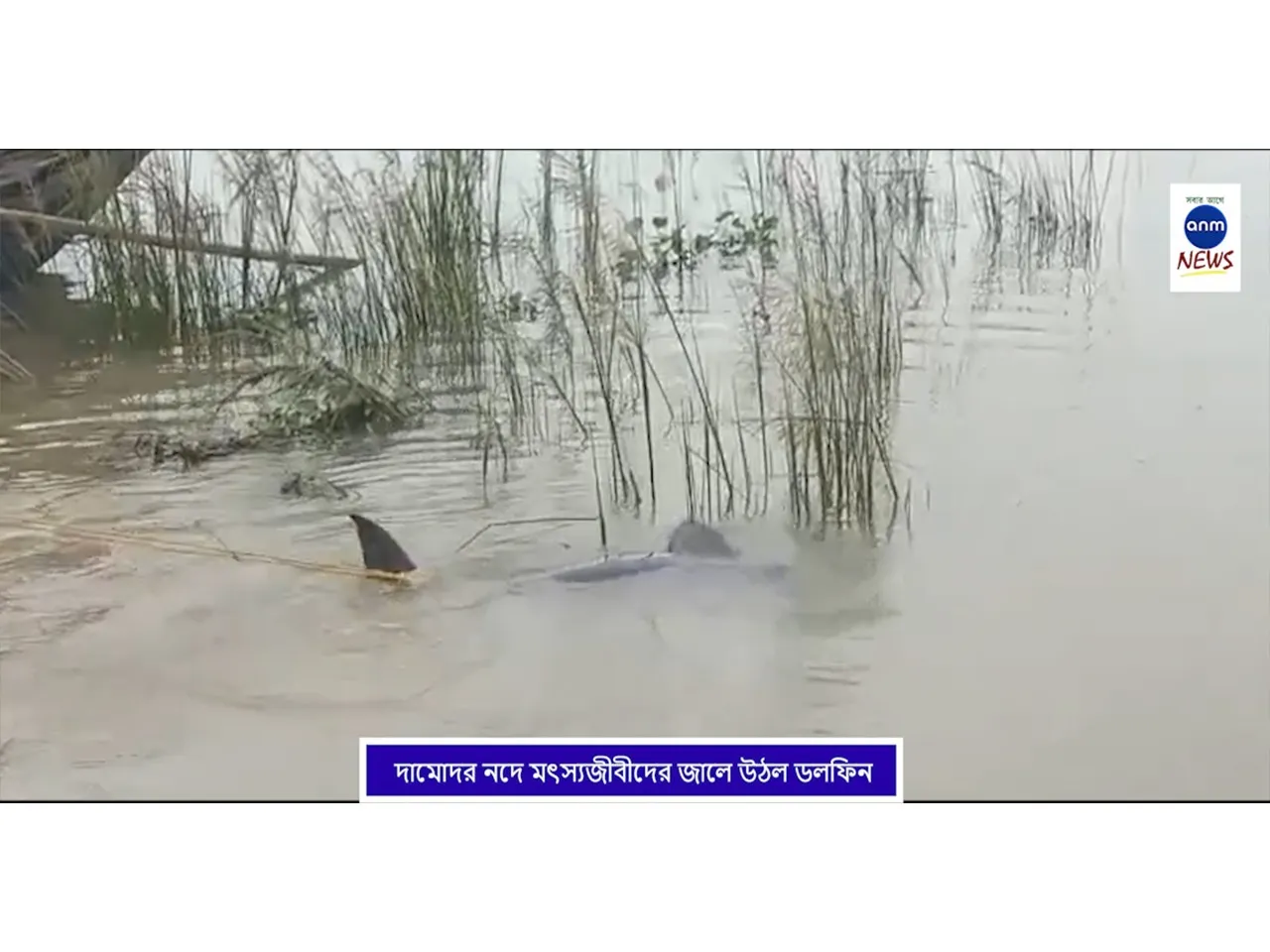 WhatsApp Image 2025-08-07 at 5.19.42 PM