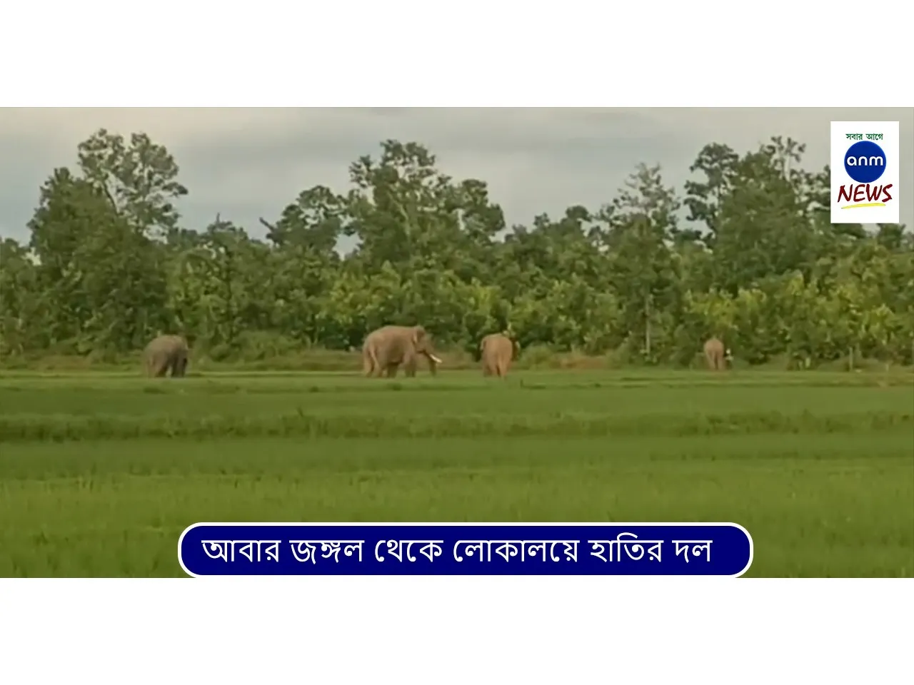 WhatsApp Image 2025-08-19 at 2.56.36 PM