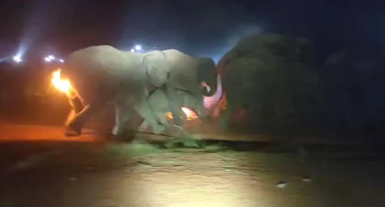 WhatsApp Image 2025-09-01 at 6.19.47 PM