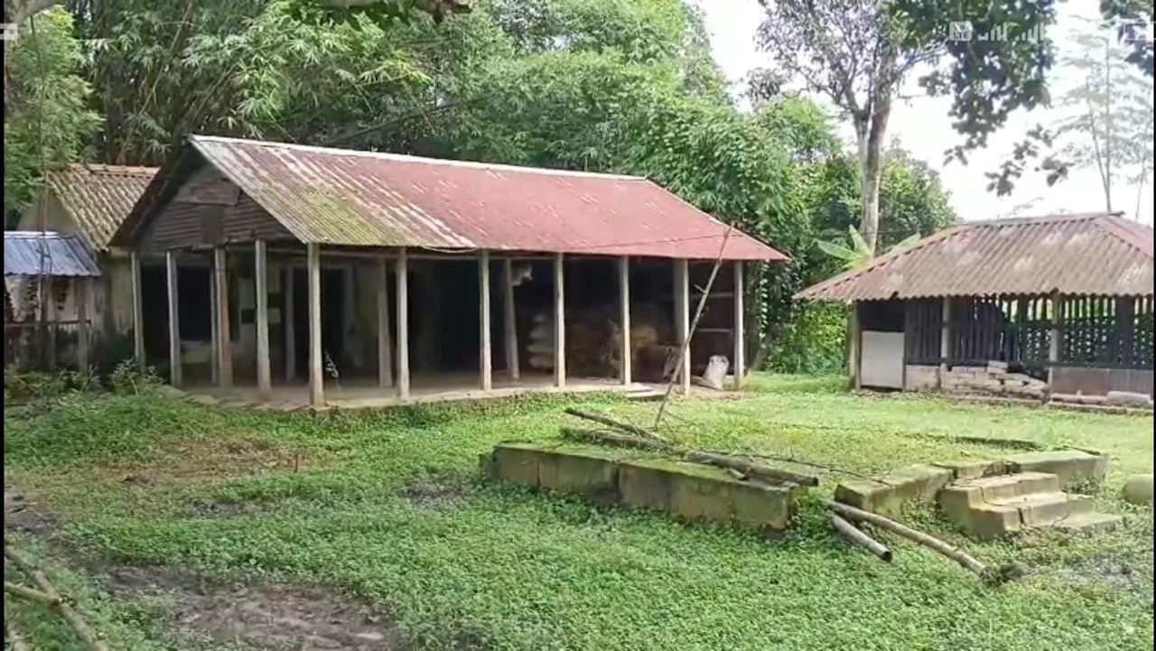 WhatsApp Image 2025-09-05 at 10.44.09 AM