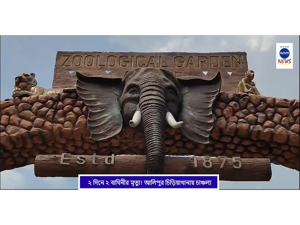 WhatsApp Image 2025-09-11 at 1.32.00 PM