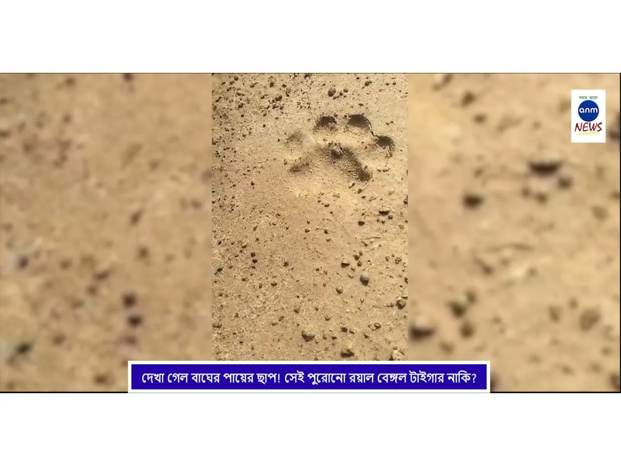 WhatsApp Image 2025-09-18 at 4.10.07 PM