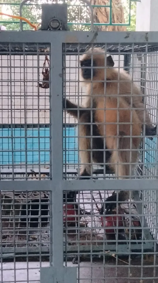 e45c8921-f326-43ef-9855-6d6d1c5528b8