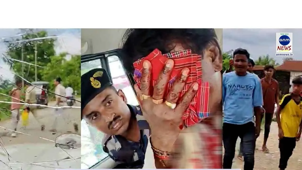 WhatsApp Image 2025-10-06 at 18.50.04