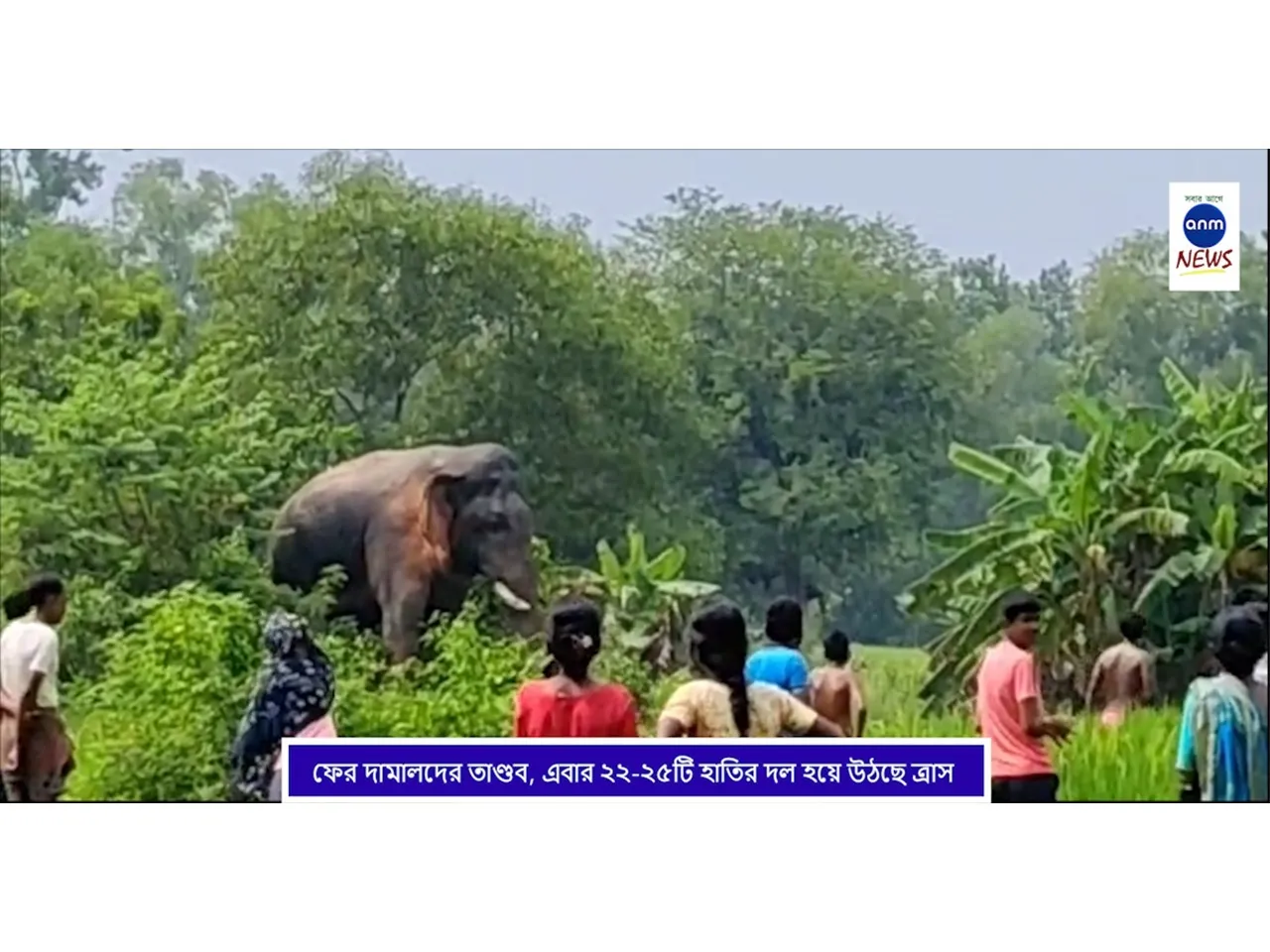 WhatsApp Image 2025-10-08 at 5.00.05 PM