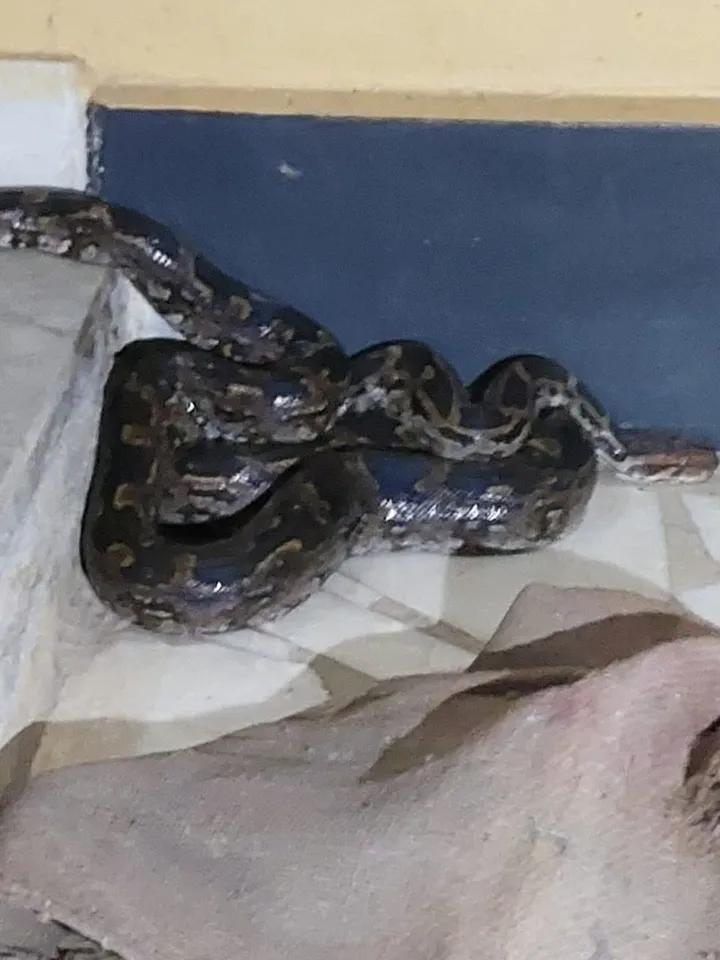 WhatsApp Image 2025-10-27 at 3.18.27 PM (1)