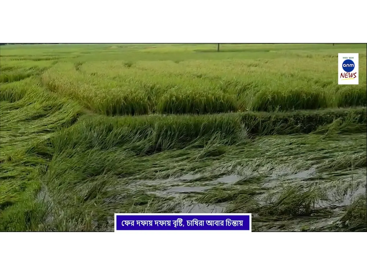 WhatsApp Image 2025-10-30 at 5.23.30 PM