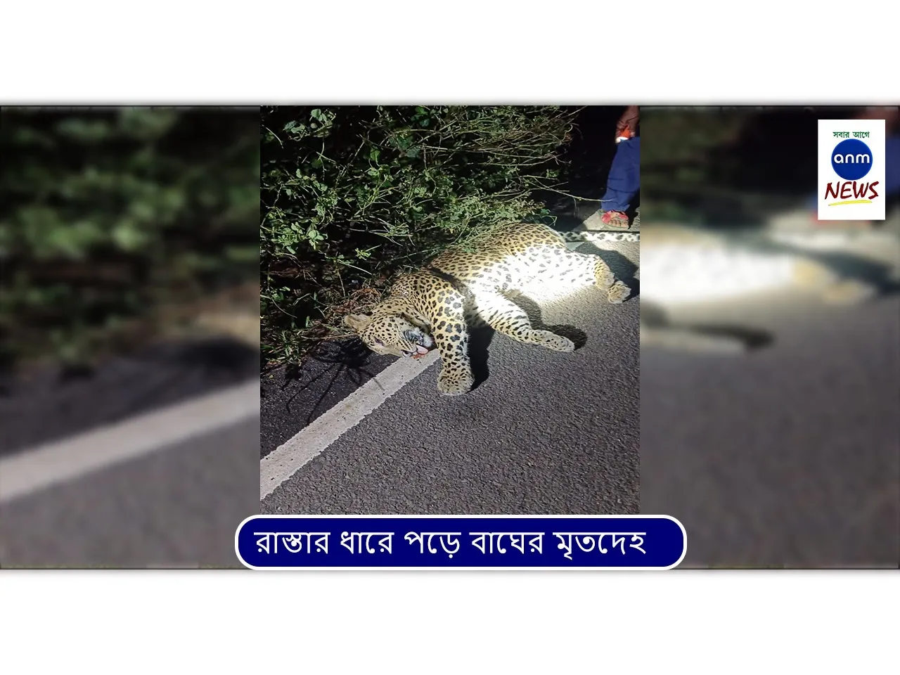 WhatsApp Image 2025-10-31 at 2.14.22 PM