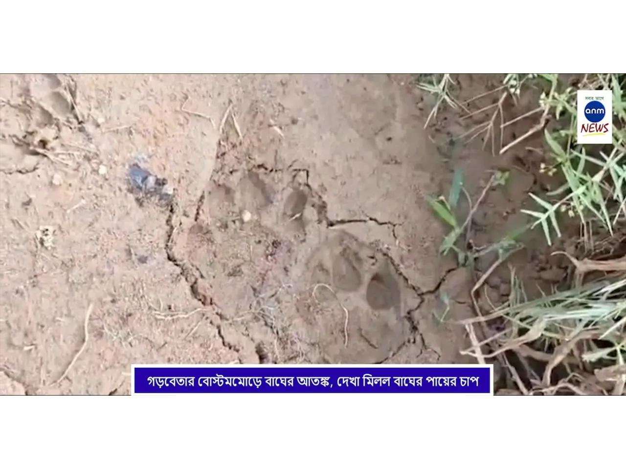 WhatsApp Image 2025-10-31 at 18.27.41