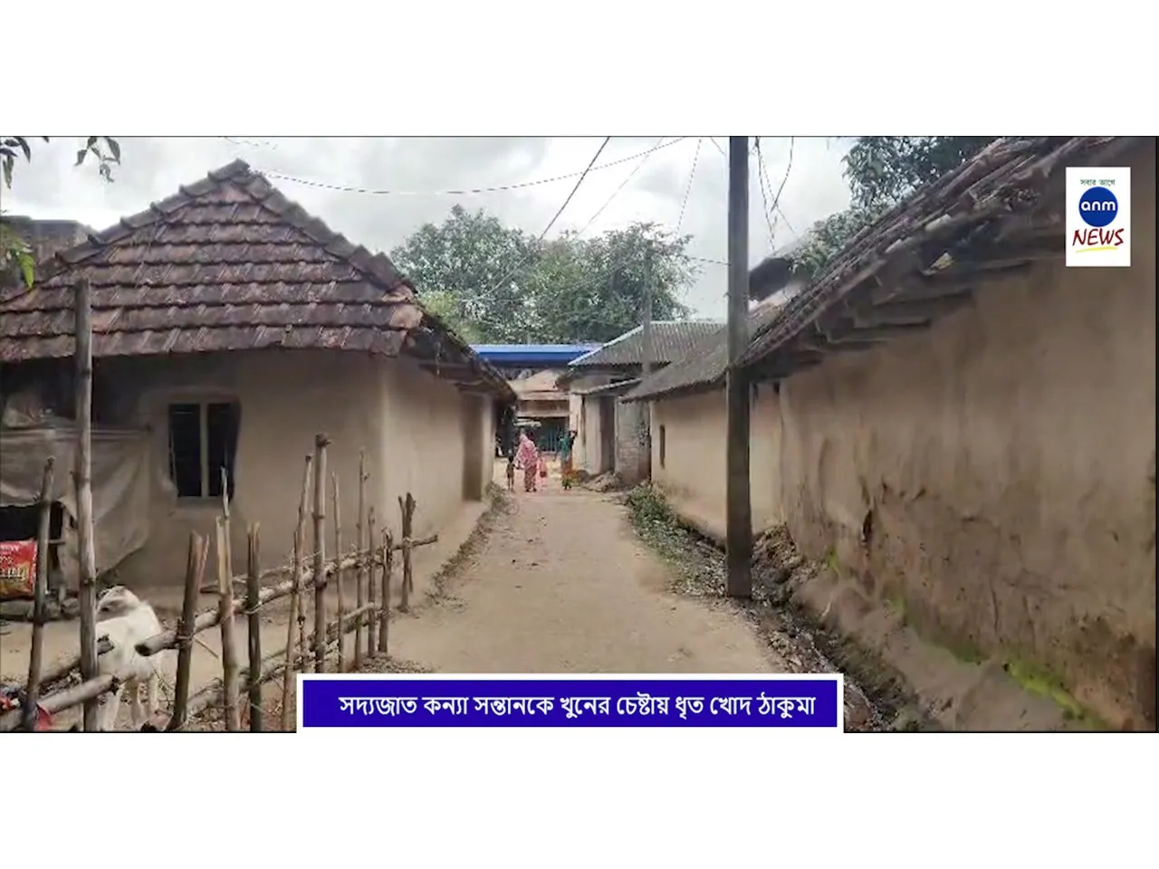 WhatsApp Image 2025-11-02 at 5.46.21 PM