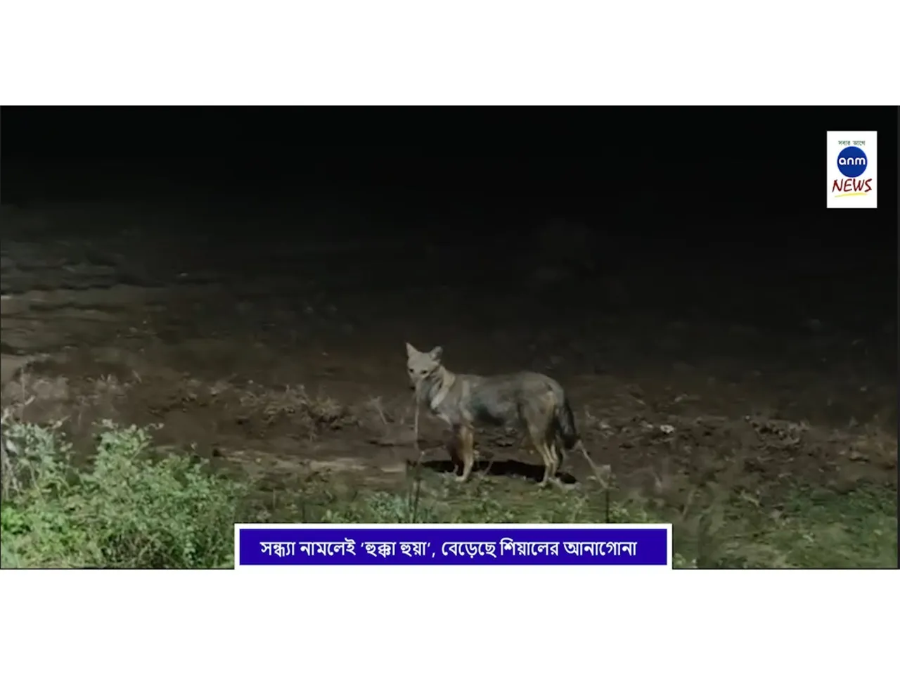 WhatsApp Image 2025-11-05 at 3.39.23 PM