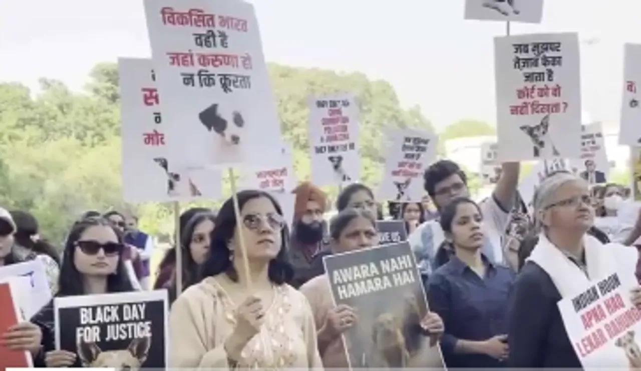 Screenshot 2025-11-16 3.14.26 PM