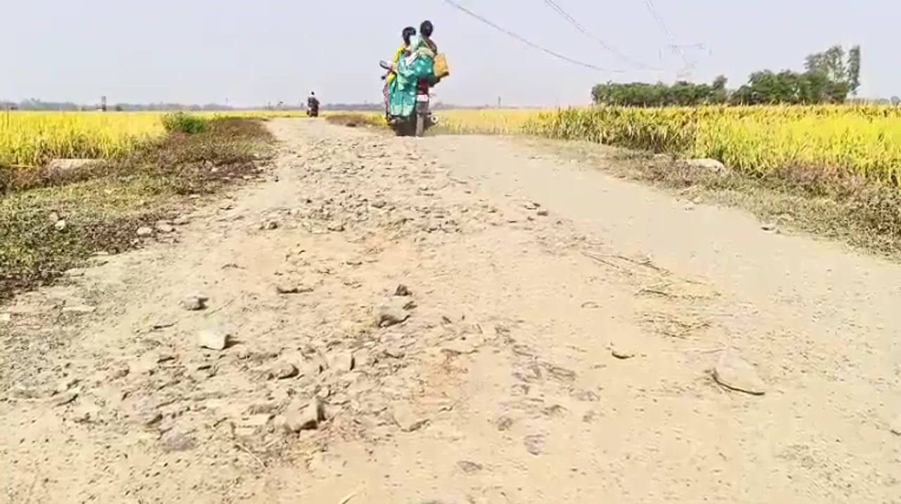 Screenshot 2025-11-23 1.34.57 PM