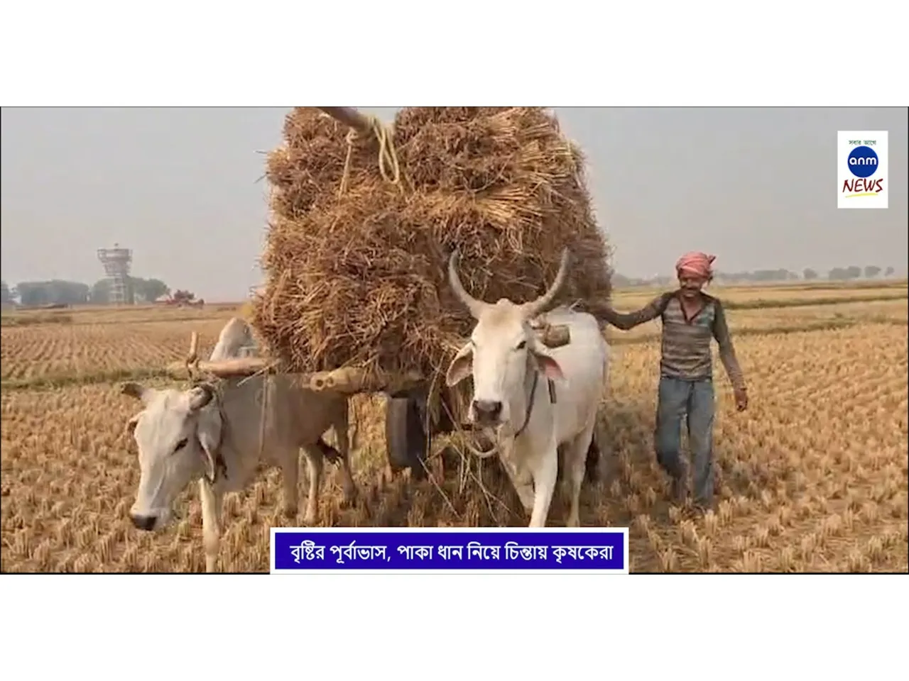 WhatsApp Image 2025-11-25 at 19.12.24