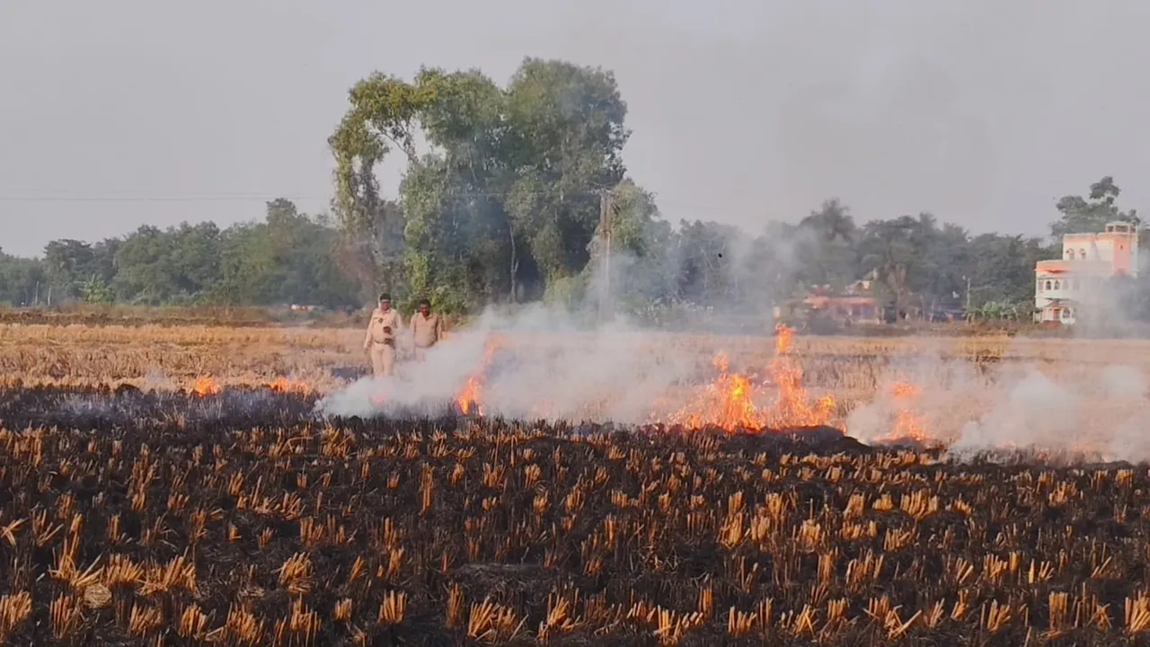 WhatsApp Image 2025-12-06 at 4.44.00 PM