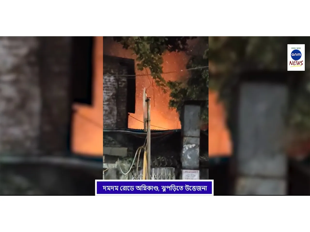 WhatsApp Image 2025-12-09 at 1.13.03 PM