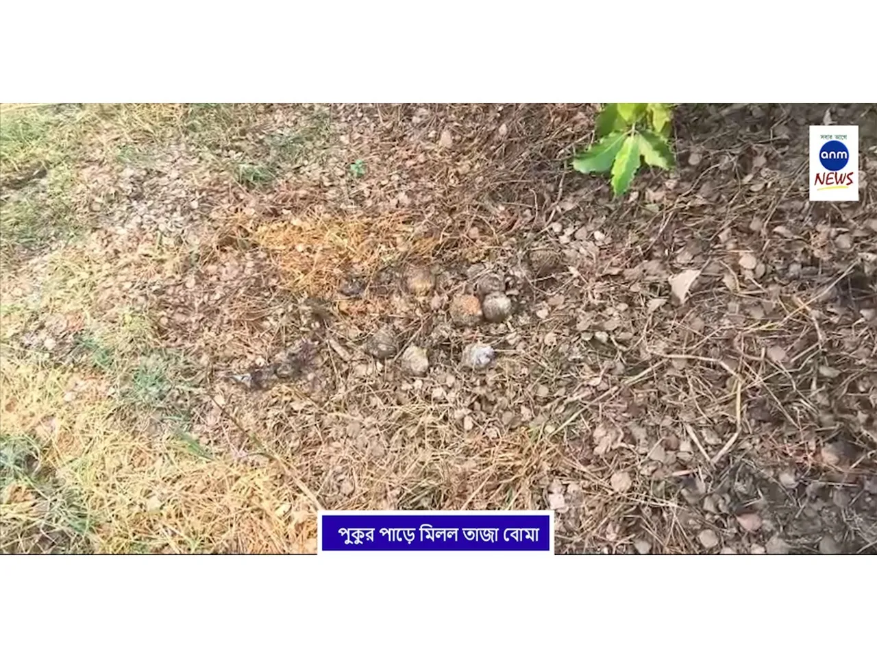 WhatsApp Image 2025-12-10 at 1.16.43 PM