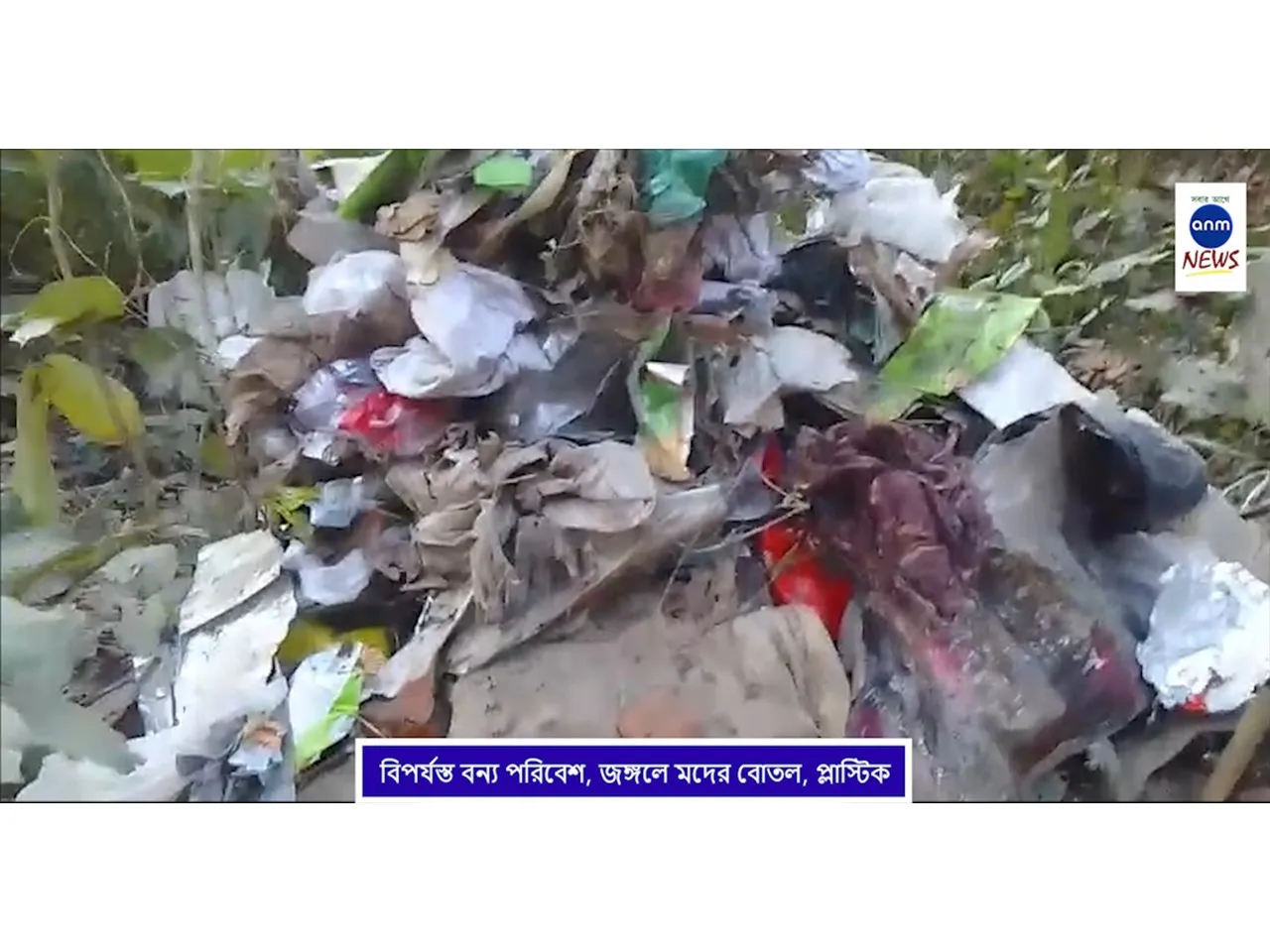 WhatsApp Image 2025-12-10 at 3.38.17 PM