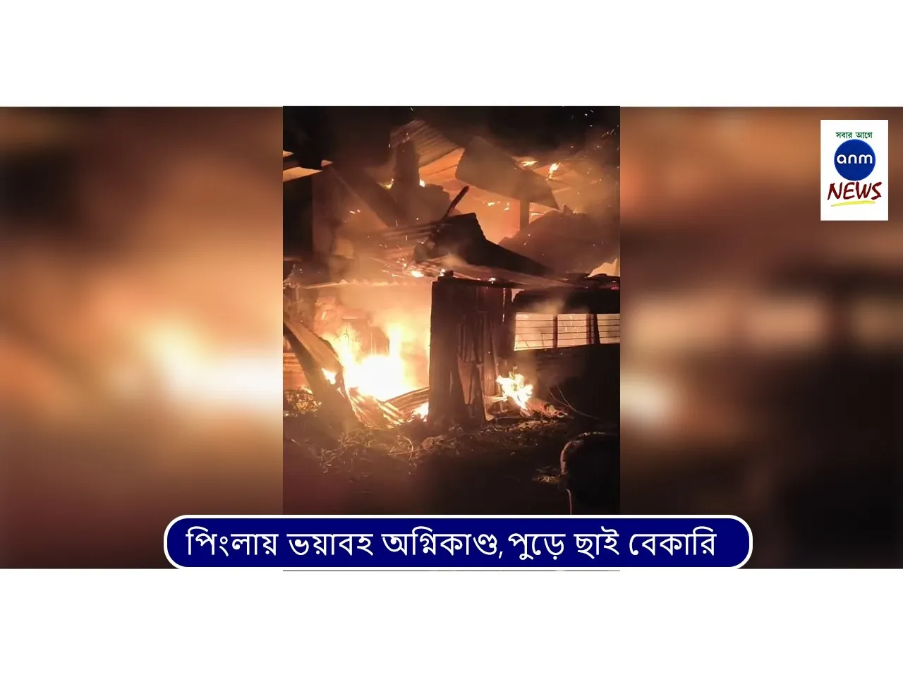 WhatsApp Image 2025-12-12 at 3.31.03 PM