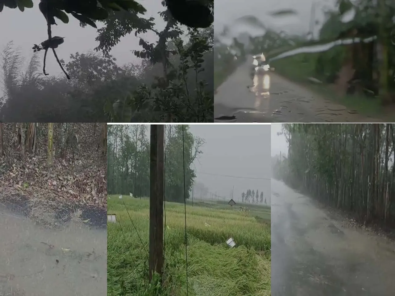 ping la rain