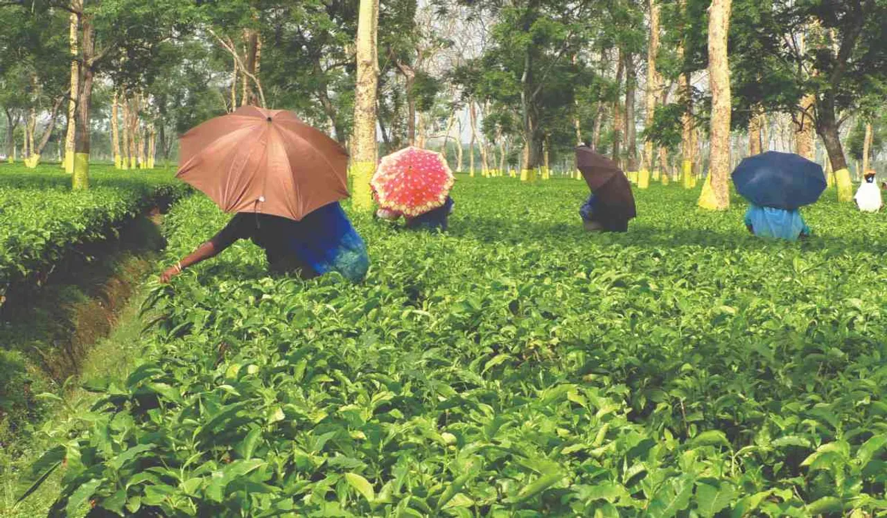 ezgif.com-webp-to-jpg (17)(1).jpg