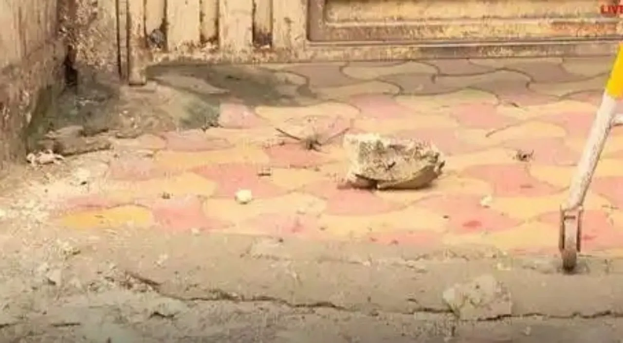 WhatsApp Image 2023-09-03 at 16.46.04.jpeg