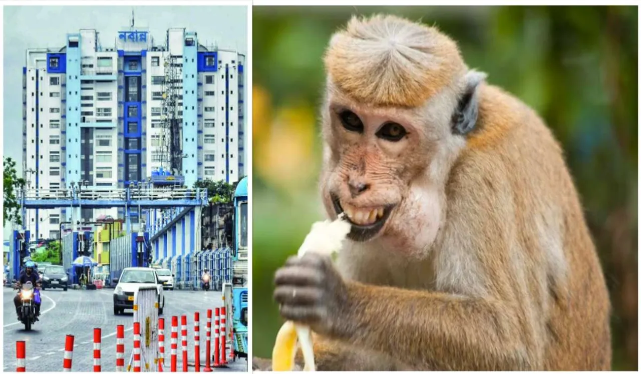 Screenshot 2023-10-05 133816.jpg