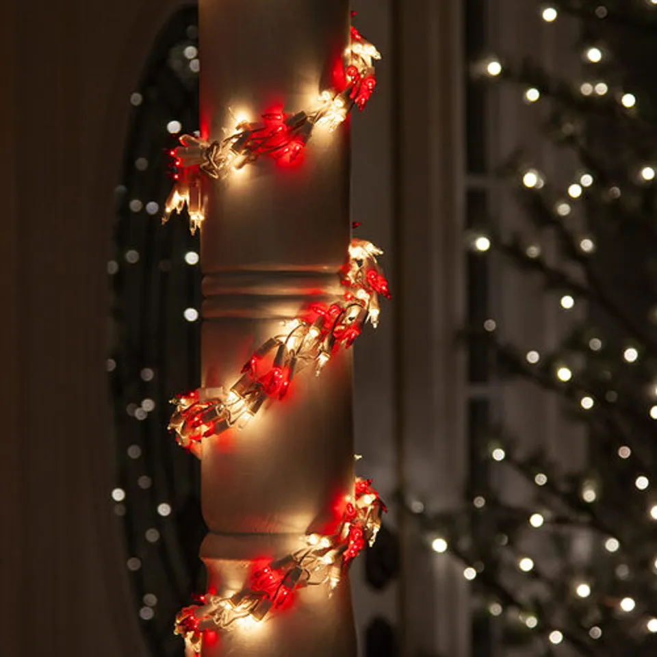 Red-Clear-Garland-Lights-White-Wire-porch-7648