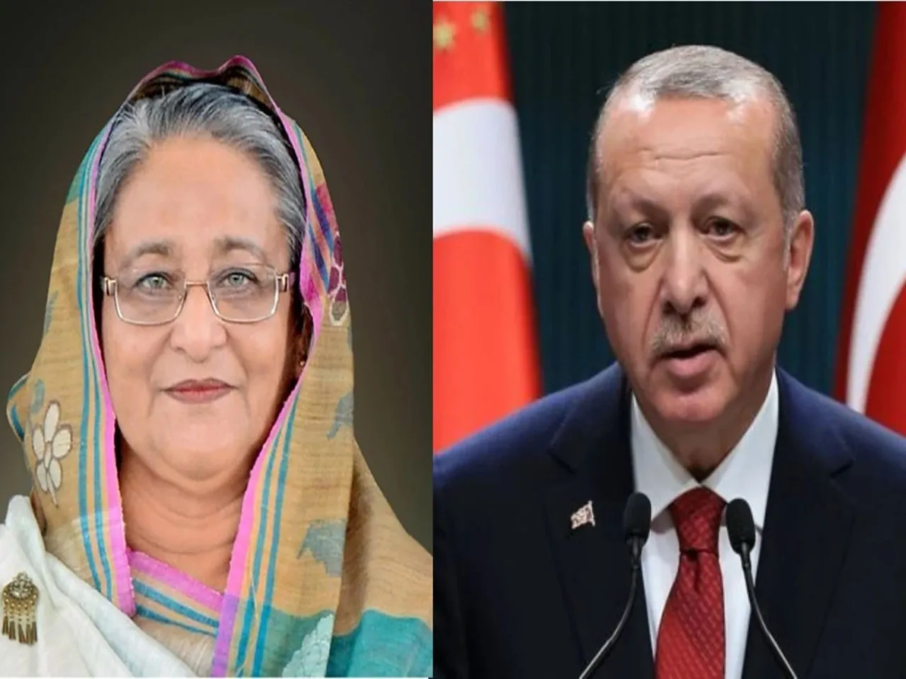hasina erdogan.jpg