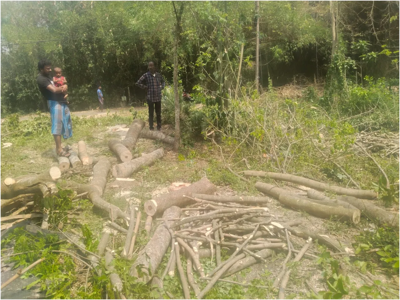 forest department medinipore.jpg