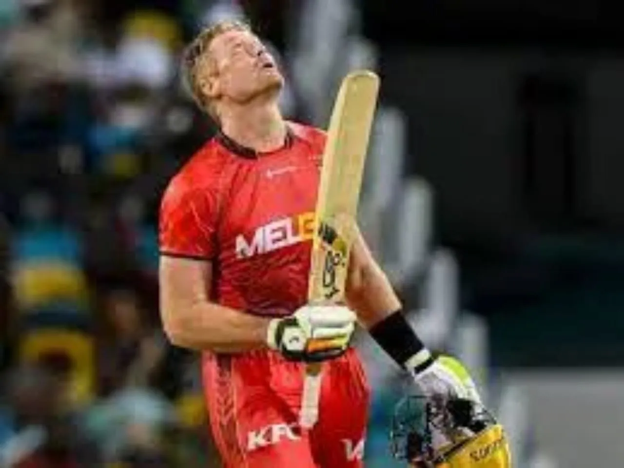 WhatsApp Image 2023-08-31 at 11.51.15.jpeg