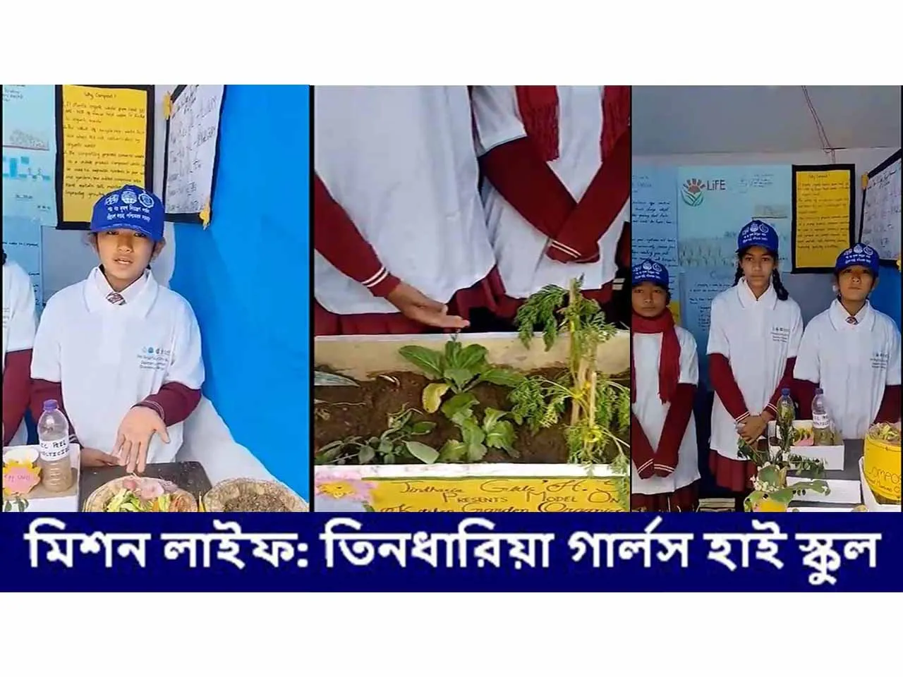 WhatsApp Image 2024-03-02 at 6.43.31 PM.jpeg