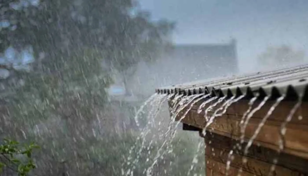 WhatsApp Image 2023-09-03 at 15.09.53.jpeg