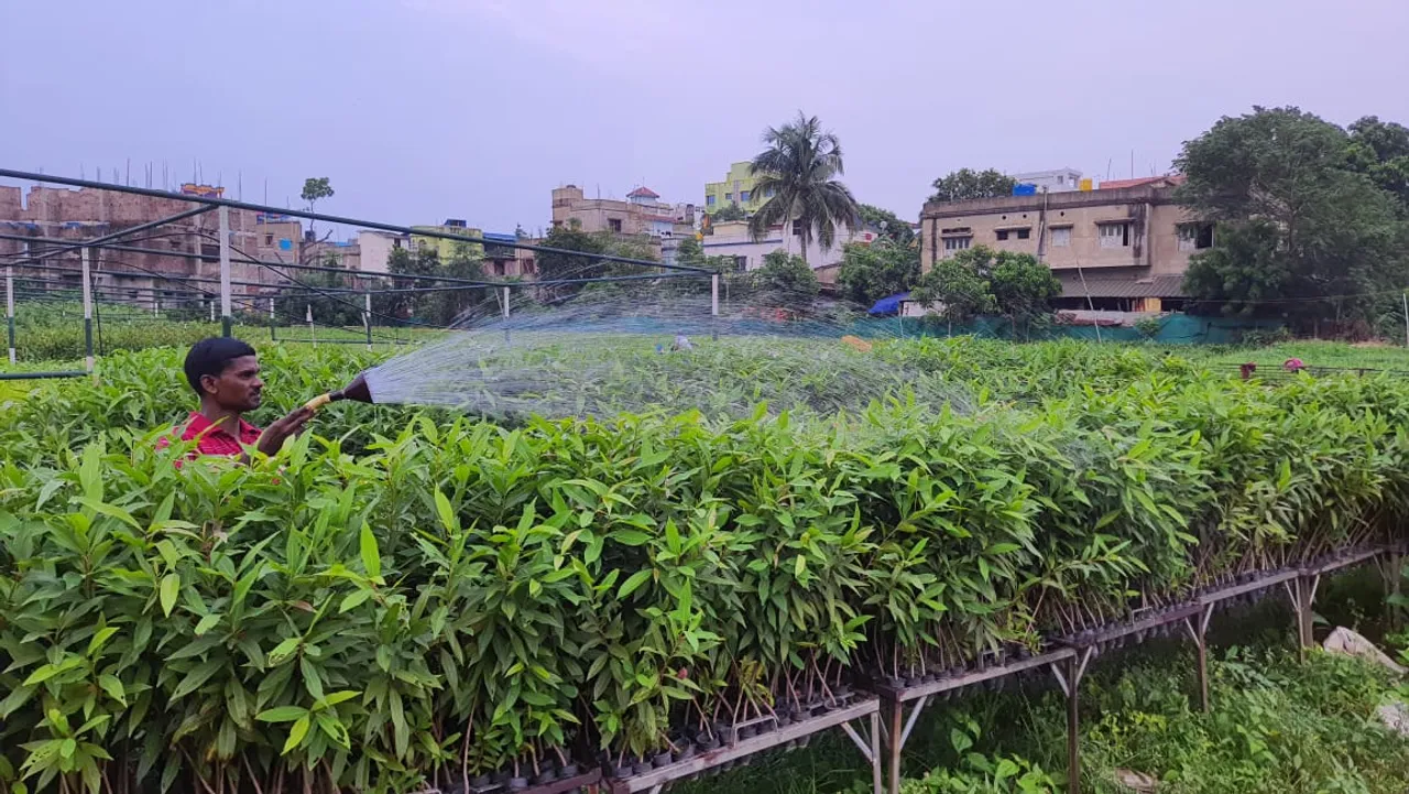 WhatsApp Image 2024-06-03 at 9.56.27 AM.jpeg