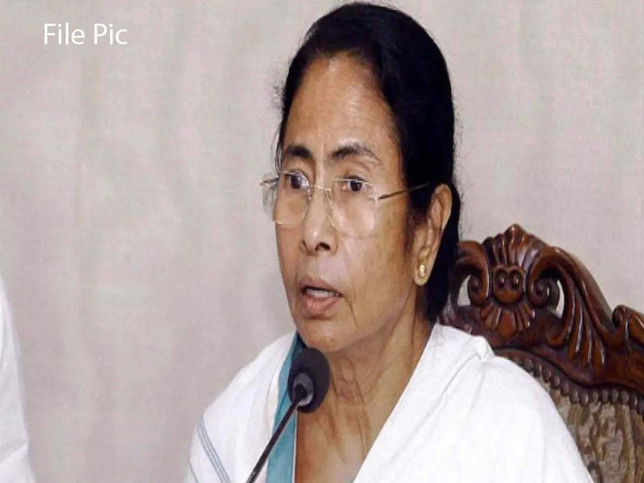 mamata flie.jpg