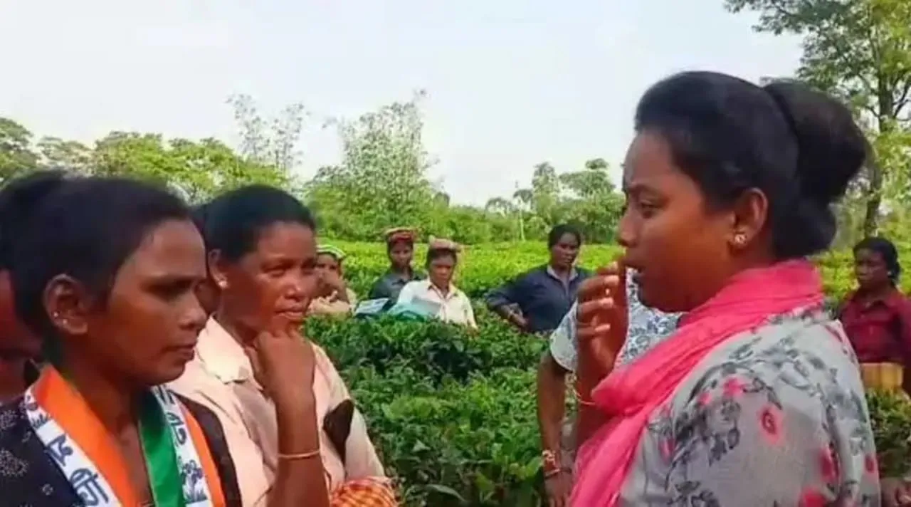 WhatsApp Image 2023-09-01 at 16.31.28 (1).jpeg