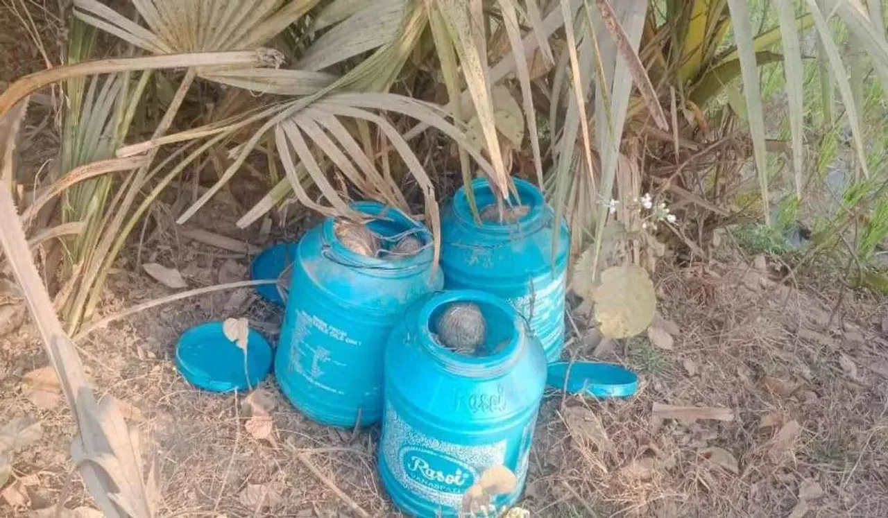 ezgif.com-webp-to-jpg (72) (1).jpg