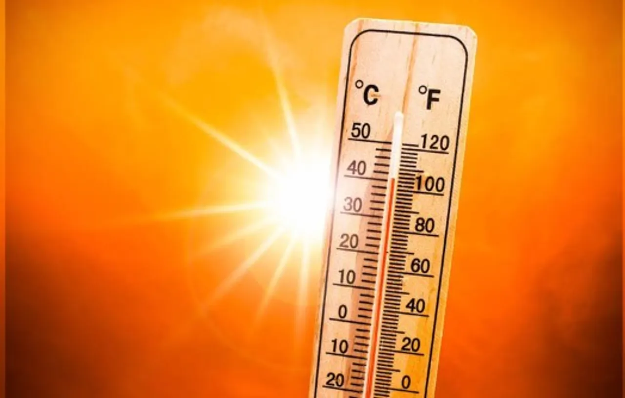 ব্জভবচভ 