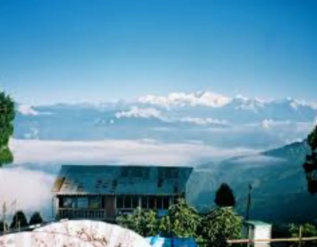 darjeeling winter .jpg