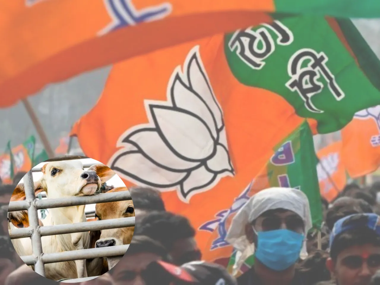 bjpcow