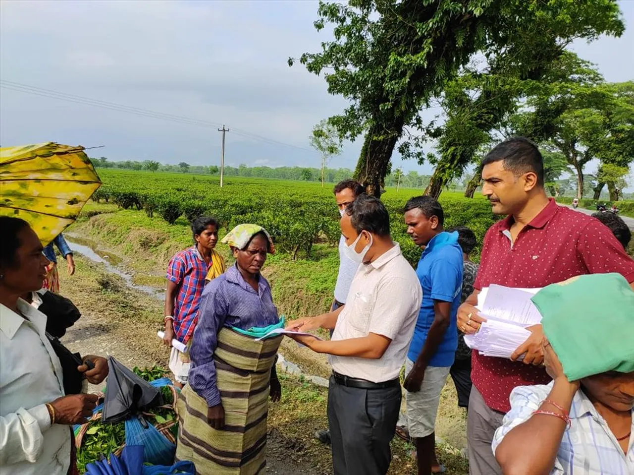 চা বাগানগুলিতে পৌঁছে দেওয়া হচ্ছে লক্ষ্মীর ভান্ডারের ফর্ম